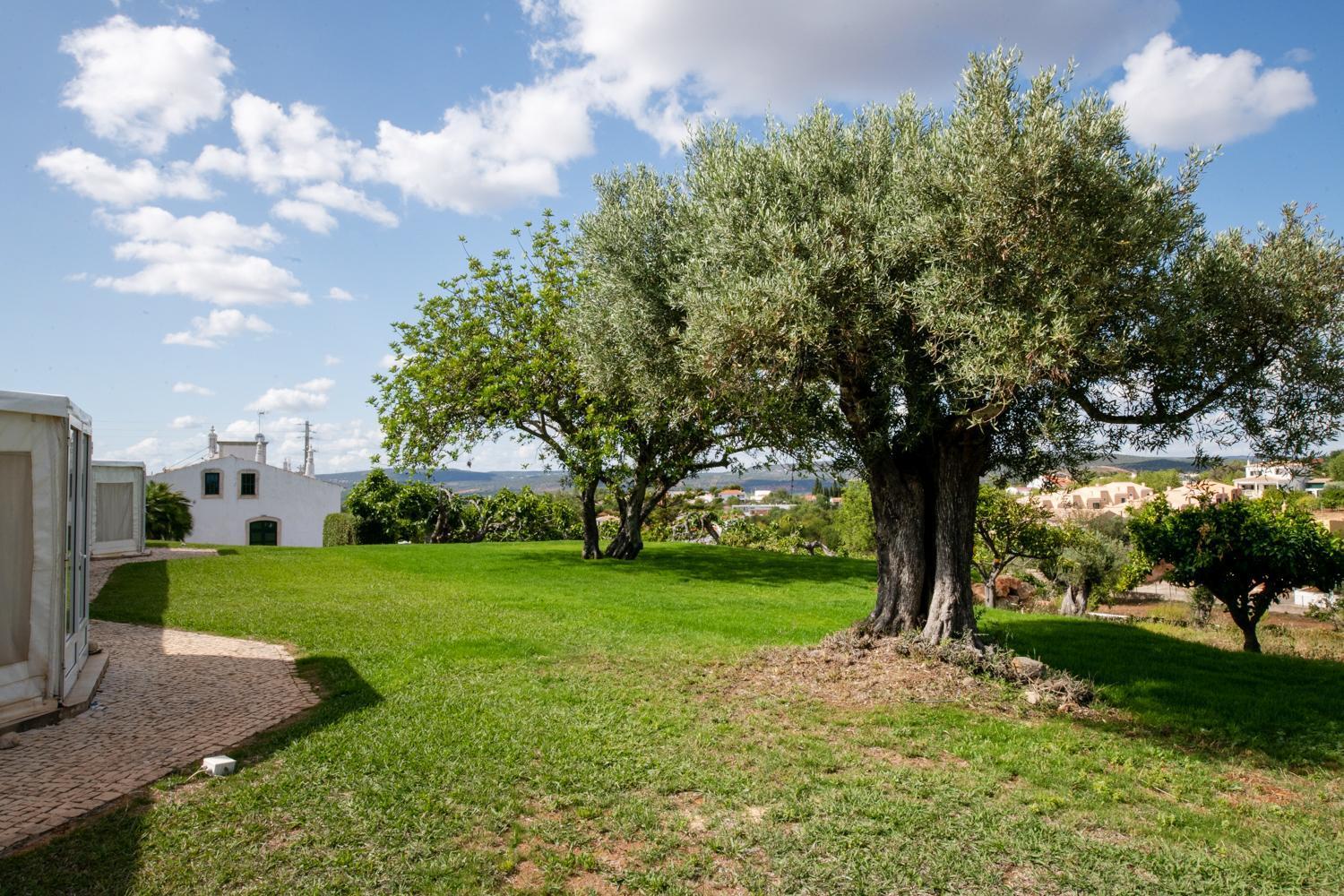 Cerca Velha - Country House Albufeira Luaran gambar
